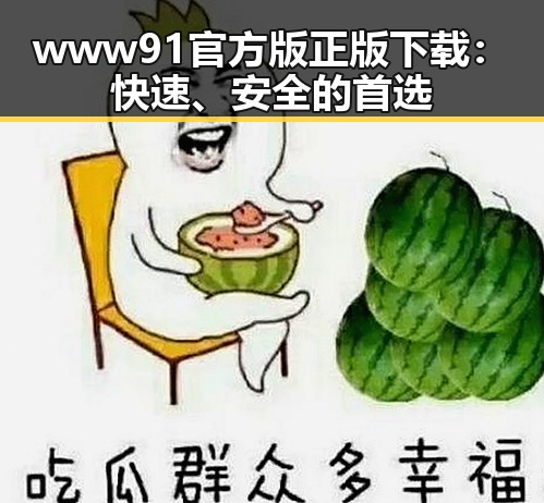 www91官方版正版下载：快速、安全的首选
