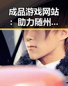 成品游戏网站：助力随州市游戏产业的新起点