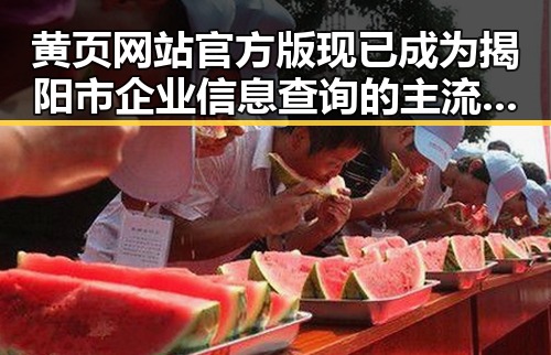黄页网站官方版现已成为揭阳市企业信息查询的主流平台
