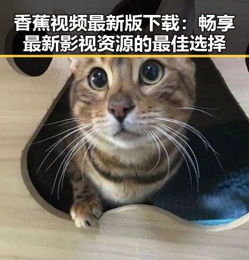 香蕉视频最新版下载：畅享最新影视资源的最佳选择