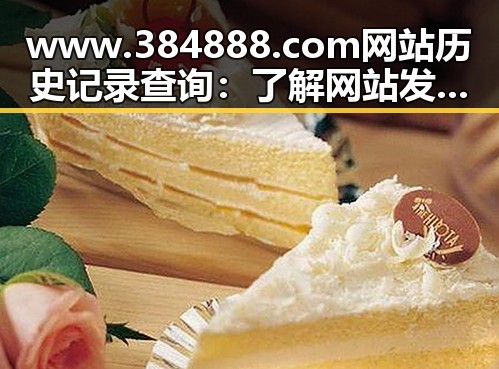 www.384888.com网站历史记录查询：了解网站发展与变化