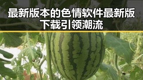 最新版本的色情软件最新版下载引领潮流