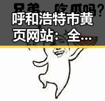 呼和浩特市黄页网站：全面便捷的企业信息平台