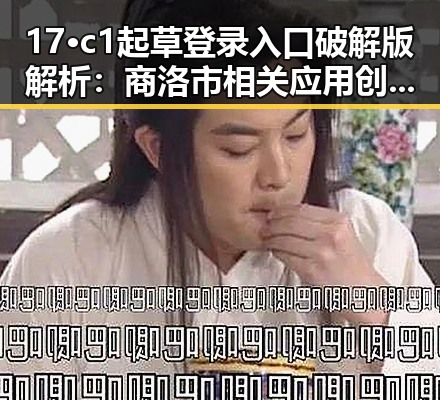 17·c1起草登录入口破解版解析：商洛市相关应用创新探索