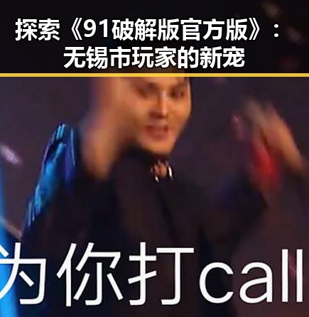 探索《91破解版官方版》：无锡市玩家的新宠