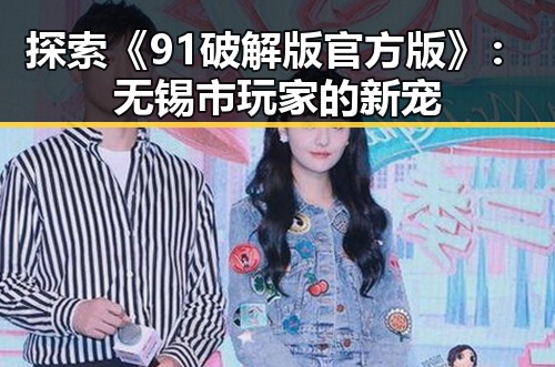 探索《91破解版官方版》：无锡市玩家的新宠