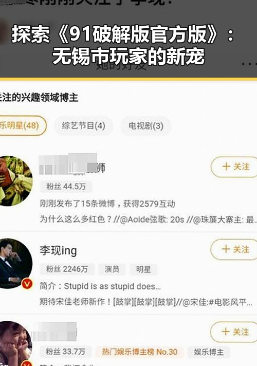 探索《91破解版官方版》：无锡市玩家的新宠
