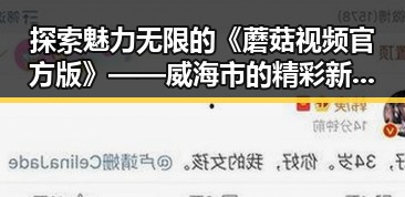 探索魅力无限的《蘑菇视频官方版》——威海市的精彩新体验