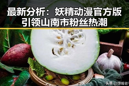 最新分析：妖精动漫官方版引领山南市粉丝热潮