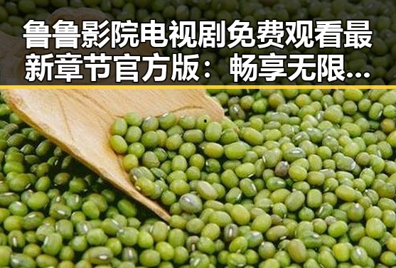 鲁鲁影院电视剧免费观看最新章节官方版：畅享无限追剧体验