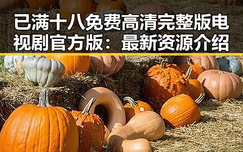 已满十八免费高清完整版电视剧官方版：最新资源介绍