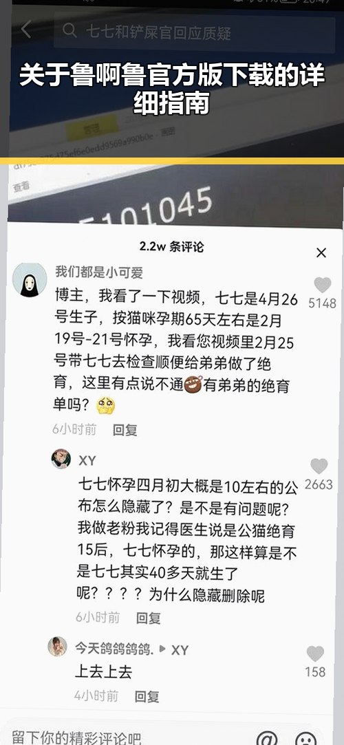关于鲁啊鲁官方版下载的详细指南
