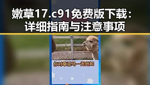 嫩草17.c 91免费版下载：详细指南与注意事项