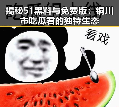 揭秘51黑料与免费版：铜川市吃瓜君的独特生态