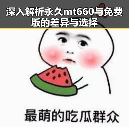 深入解析永久mt660与免费版的差异与选择