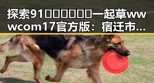 探索91🍆🍑🔞❌❌❌一起草wwwcom17官方版：宿迁市最新动态与现状