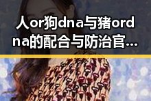 人or狗dna与猪ordna的配合与防治官方版——全面解析