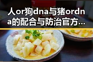 人or狗dna与猪ordna的配合与防治官方版——全面解析