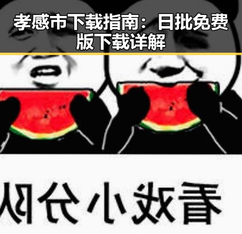 孝感市下载指南：日批免费版下载详解