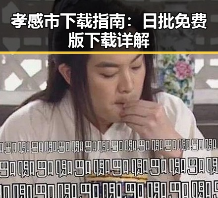 孝感市下载指南:日批免费版下载详解