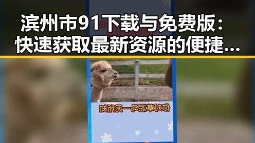 滨州市91下载与免费版：快速获取最新资源的便捷途径