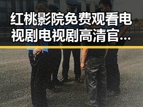 红桃影院免费观看电视剧电视剧高清官方版:了解最新影视资源
