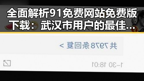 全面解析91免费网站免费版下载：武汉市用户的最佳选择