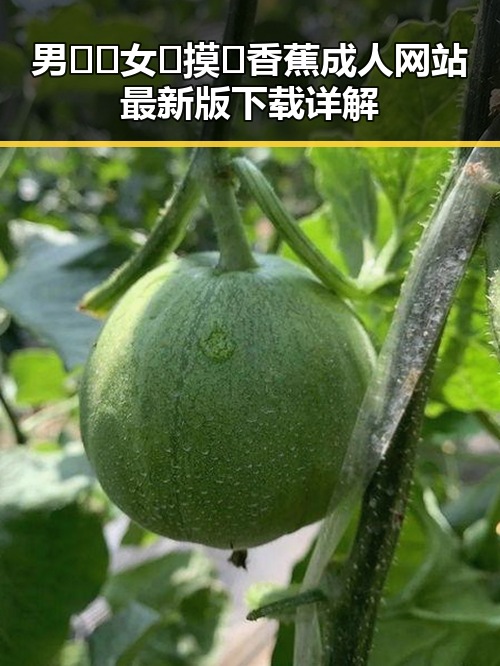 男🍌❌女🍑摸🐻香蕉成人网站最新版下载详解