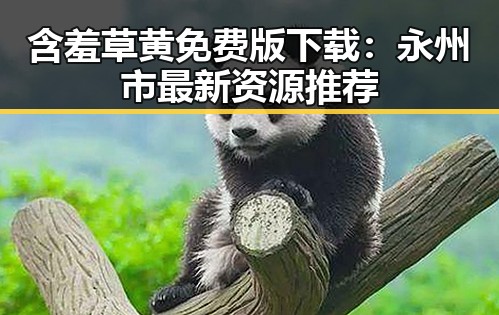 含羞草黄免费版下载：永州市最新资源推荐