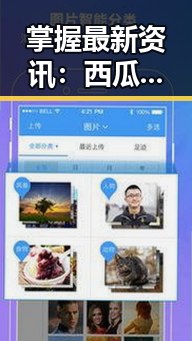 掌握最新资讯：西瓜视频最新版下载助你畅享精彩内容