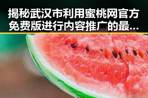 揭秘武汉市利用蜜桃网官方免费版进行内容推广的最新动态