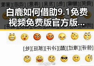白鹿如何借助9.1免费视频免费版官方版下载实现娱乐圈新突破