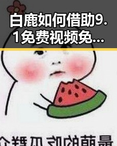 白鹿如何借助9.1免费视频免费版官方版下载实现娱乐圈新突破