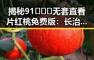 揭秘91❌❌❌无套直看片红桃免费版：长治市用户的新选择