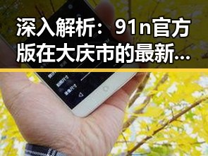 深入解析：91n官方版在大庆市的最新动态与发展方向