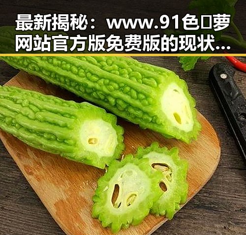 最新揭秘：www.91色😍萝网站官方版免费版的现状与发展