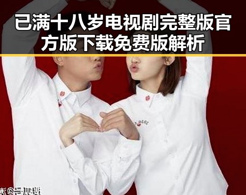 已满十八岁电视剧完整版官方版下载免费版解析