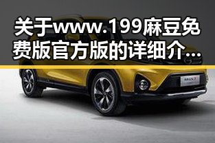 关于www.199麻豆免费版官方版的详细介绍与使用指南