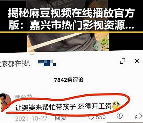 揭秘麻豆视频在线播放官方版：嘉兴市热门影视资源背后的真相