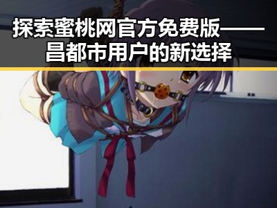 探索蜜桃网官方免费版——昌都市用户的新选择