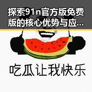 探索91n官方版免费版的核心优势与应用前景