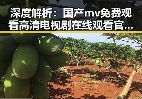 深度解析：国产mv免费观看高清电视剧在线观看官方版的最新玩法