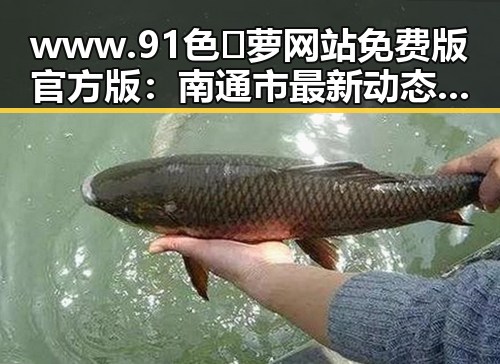 www.91色😍萝网站免费版官方版：南通市最新动态与用户体验分析