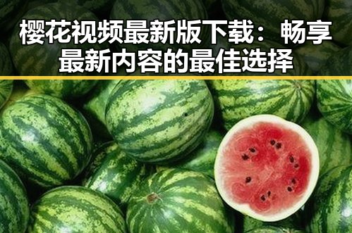 樱花视频最新版下载：畅享最新内容的最佳选择