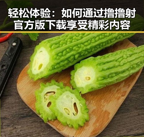 轻松体验：如何通过撸撸射官方版下载享受精彩内容