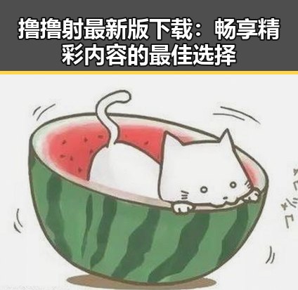 撸撸射最新版下载：畅享精彩内容的最佳选择
