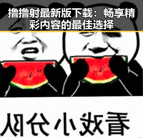 撸撸射最新版下载：畅享精彩内容的最佳选择