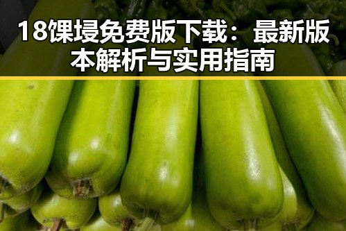 18馃埐免费版下载：最新版本解析与实用指南