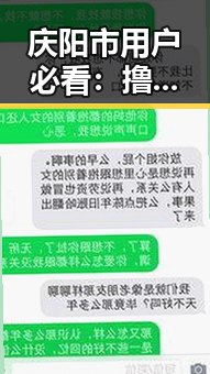 庆阳市用户必看：撸撸射免费版下载指南