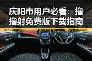 庆阳市用户必看:撸撸射免费版下载指南